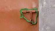 Landlord locks doors of tenants who owe him with live snake for not paying their rents for 2 months