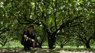 Taiwan fruit, fish farmers feel squeeze of China's sanctions