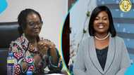 EOCO boss denies political pressure affecting her work