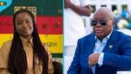 Gyankroma: Akufo-Addo’s daughter denies $25m interchange painting contract