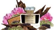 What is the most expensive cologne in the world? A list of the 10 with the highest price tags