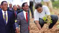 The Church of Pentecost undertakes project to plant 1 million trees in the next 2 months