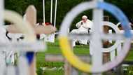 'Overwhelming': Survivors reflect on pope's Indigenous abuse apology