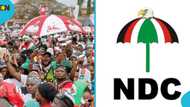NDC issues strict warning to aspirants ahead of internal elections