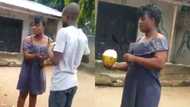 Brave Ghanaian lady who sells coconut to survive wows men with her fine skills in stunning video