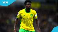 Super-sub Forson Amankwah leads Norwich's comeback win with two goals in 4 minutes (Videos)