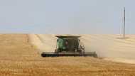 What we know about the Russia-Ukraine grain deal
