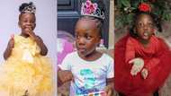 Next top model: Jidula gives perfect catwalk like professional as she goes bag shopping in new video