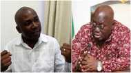 Prof Bokpin schools Akufo-Addo: Economist shows president how he can govern with only 40 ministers