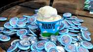 Ben & Jerry's co-founder quits, says independence 'gone'