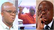 "Nobody can say Fitch is entirely wrong": Akufo-Addo appointee admits NDC can win 2024 election