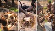 Ghanaian men eat fufu in a carved hole in a rock, video sparks reactions