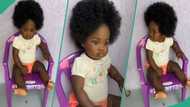 "I thought she was a doll": Little girl's beauty and full hair captivate netizens as video trends