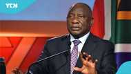 Controversy erupts as Cyril Ramaphosa makes major Cabinet changes in South Africa
