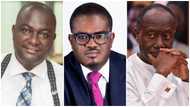NPP MP describes Adu Boahen’s sacking over Anas exposé as useless