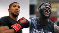 Anthony Joshua sends stunning response to Fury who says Wilder will beat him in 2 rounds