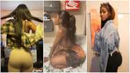 Bhadie Kelly: How she became an internet sensation, 5 recent videos of the TikToker flaunting her backside