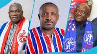 NPP election: Surprise as total number of delegates expected to vote on Saturday emerges