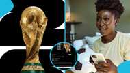 Excitement builds as AI predicts 2026 FIFA World Cup winners