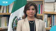 Mexico Embassy announces vacancy for Ghanaians, outlines who can apply