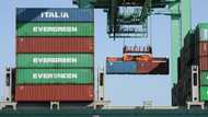 US trade deficit narrows unexpectedly in November