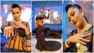 Nana Ama McBrown performs Black Sherif's Kwaku the Traveller inside her plush mansion, video excites fans