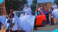 Ghanaian wedding: Pretty bride rides on horse back to the venue, onlookers left in awe (Video)