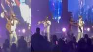 Black Sherif shuts down Naija as he joins Burna Boy on stage during concert in video