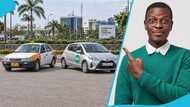 Bolt or taxi: What drivers should know before choosing one