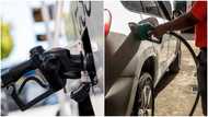 COPEC predicts petrol and diesel price drop this week despite cedi’s fall against dollar