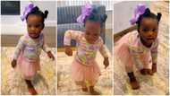 How did she learn it? Cute baby dances with cool swag, stamps feet on ground in funny video