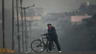 Heatwaves and wildfires to worsen air pollution: UN