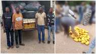 Police reject GH₵20k Bribe; Arrest 4 Persons For Possessing 104 Bags Of Narcotics