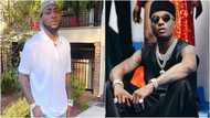 Davido beats Wizkid, 6 others as the highest paid Nigerian influencer on Instagram’s rich list