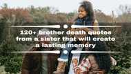 120+ brother death quotes from a sister that will create a lasting memory