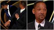 Will Smith: Academy Bans Actor from Oscars Ceremony for 10 Years Over Chris Rock Slap