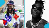 Emmanuel Adebayor hypes Stonebwoy after his Little Lion performance