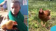 12 year old boy takes sick chicken to hospital, wins hearts across Ethiopia