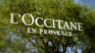 L'Occitane halts trading in Hong Kong