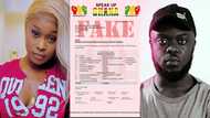 Efia Odo slams Sheldon for sharing fake Mahama document about #FixTheCountry campaign