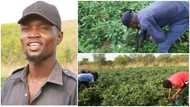Man builds house and buys land from farming vegetables in Ghana