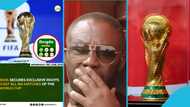 Huge shame for Osei Kwame Despite as Ghanaians slam media group over false World Cup claim
