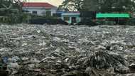 'Licence to hide': Western plastic waste dumped in Myanmar