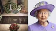 Queen Elizabeth II's final resting place revealed in photo by Buckingham Palace