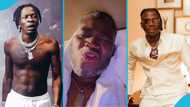 Shatta Wale fan calls Stonebwoy 'envious and unhappy', Ghanaians react