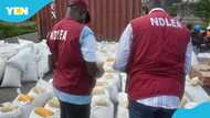 Nigeria’s Drug Law Enforcement Agency seizes 50,000 pills of Tramadol being transported to Lagos from Ghana