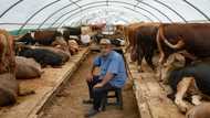 'Sacred duty': Inflation eats into Turkey's Muslim feast