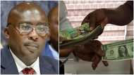 Cedi crashes to GH¢14.2 to $1 after Bawumia was booed at Hogbetsotso