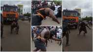 Powerful man pulls entire trailer with rope attached to his body in viral video