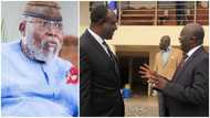 Alan can't lead, he lacks courage to resign from Akufo-Addo’s corrupt gov't - Nyaho-Tamakloe